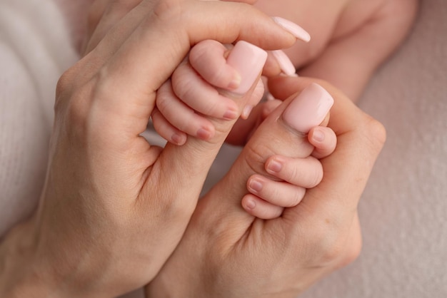 Hände eines schlafenden Neugeborenen in den Händen der Mutter Nahaufnahme Winzige Finger eines Neugeborenen, die die Daumen der Hand der Mutter halten39 Studio-Makrofotografie Konzepte von Familie und Liebe