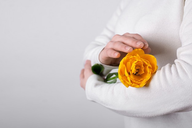 Hände halten fest das gelbe Blütenblumenmädchen im Studio auf einem weißen Hintergrund in Pastelltönen