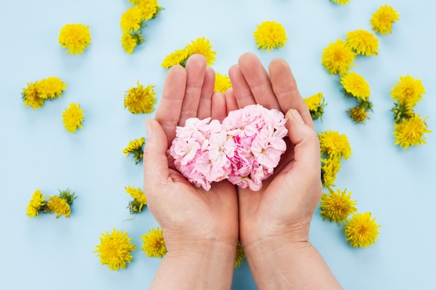 Hände halten helle Blumen auf einem pastellblauen Raum