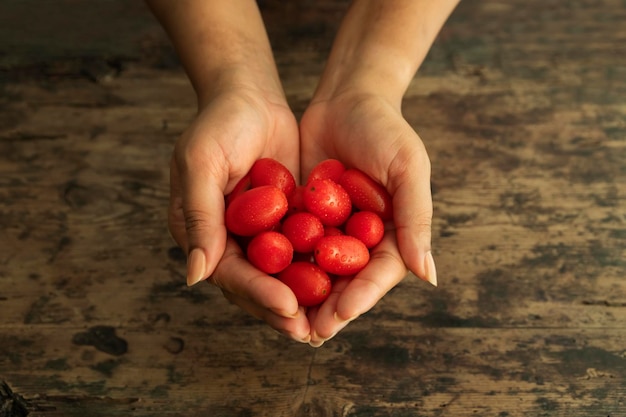 Hände halten kleine rote Tomaten in Herzform