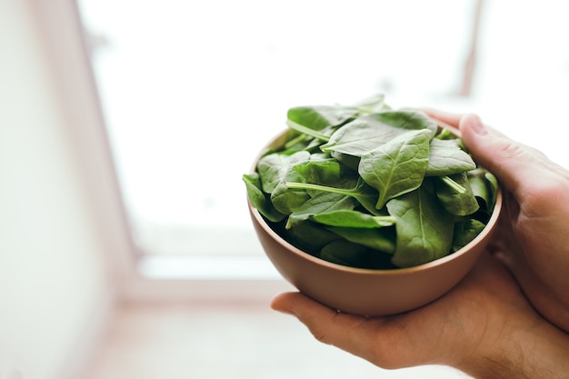 Hände halten Schüssel mit frischen grünen Salatblättern des Spinats