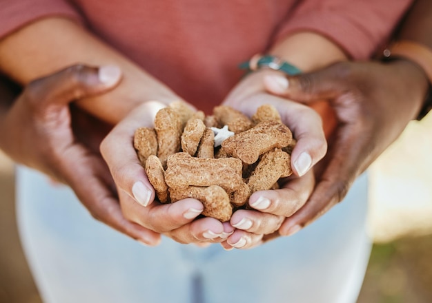 Hände Hundeleckereien und Tierheim mit einem freiwilligen schwarzen Paar zusammen in einem Rettungs- oder Adoptionszentrum Helfen Sie Training und Wohltätigkeit mit einem Mann und einer Aktivistin bei der Arbeit für Hilfe oder Gemeinschaft