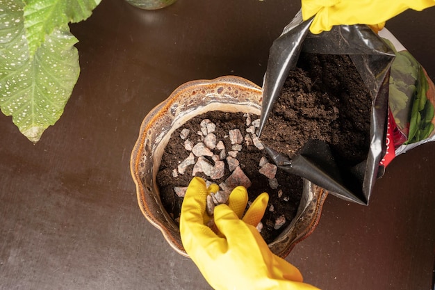 Hände in Gummihandschuhen fügen dem Boden Drainagesteine für Blumen einen Blumenkeramiktopf hinzu