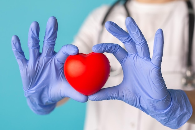 Hände in medizinischen Handschuhen, die ein rotes Herzformmodell auf blauem Hintergrund halten