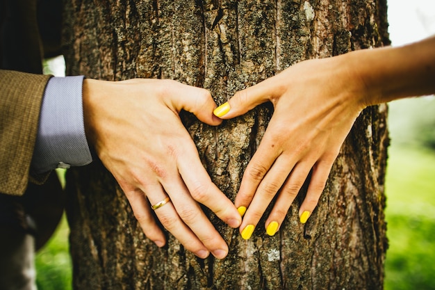 Hände machen ein Herz auf einem Baum.