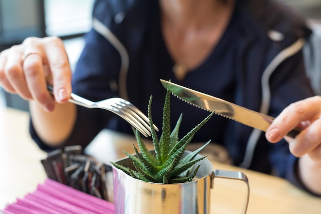 Hände mit einer Gabel und einem Messer in der Nähe einer Zimmerpflanze ein komisches Konzept des Vegetarismus