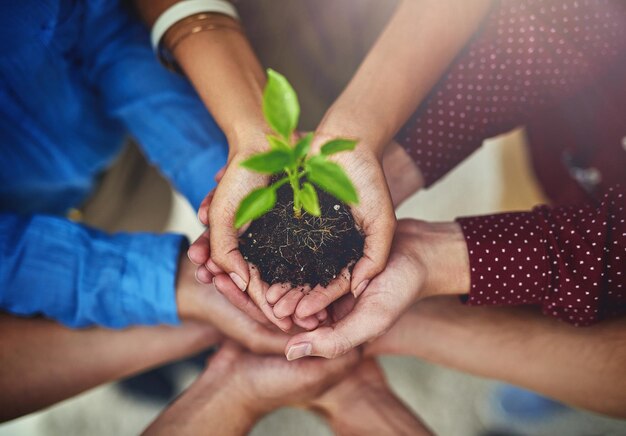 Foto hände pflanzen und wachsen von oben mit menschen, die einen erdhaufen für die nachhaltigkeit der umwelt halten. naturfrühling und teamarbeit mit einer gruppe von freunden für ökologische verantwortung