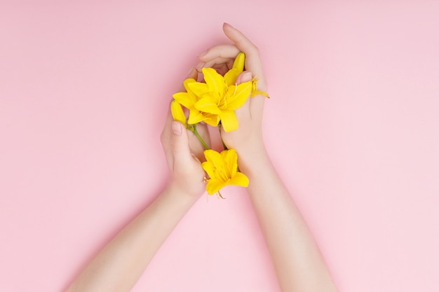 Hände und Frühlingsblumen sind auf einer rosa Tabellenhautpflege.