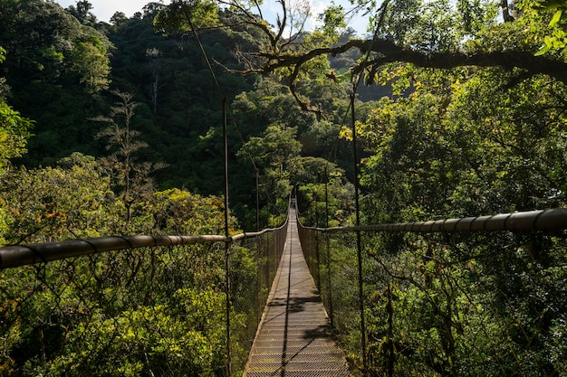 Hängebrücke im Nebelwald Volcan Baru National Park Chiriqui Panama Mittelamerika