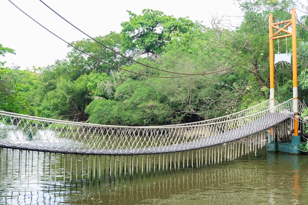 Foto hängebrücke im zoo