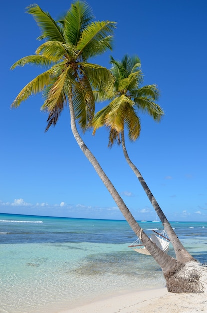 Hängematte auf einer palme am strand