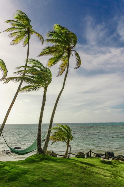Hängematte im Schatten der Palme am tropischen Strand