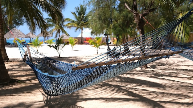 Foto hängematte unter palme strandurlaubskonzept im exotischen land selektiver fokus