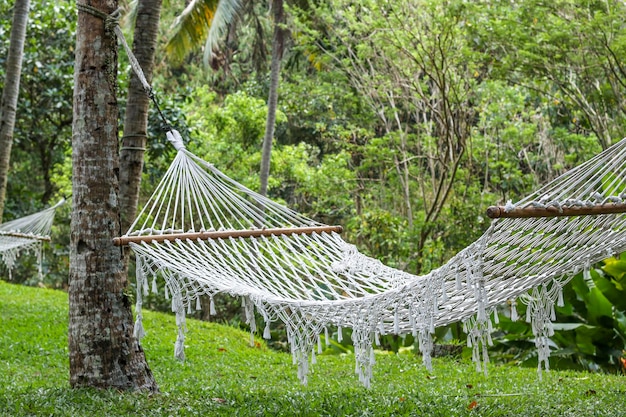 Hängematten zwischen Palmen in einem wunderschönen tropischen Garten auf der Insel Bali Indonesien