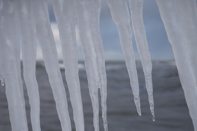 Hängende Eiszapfen Frost Winterkonzept