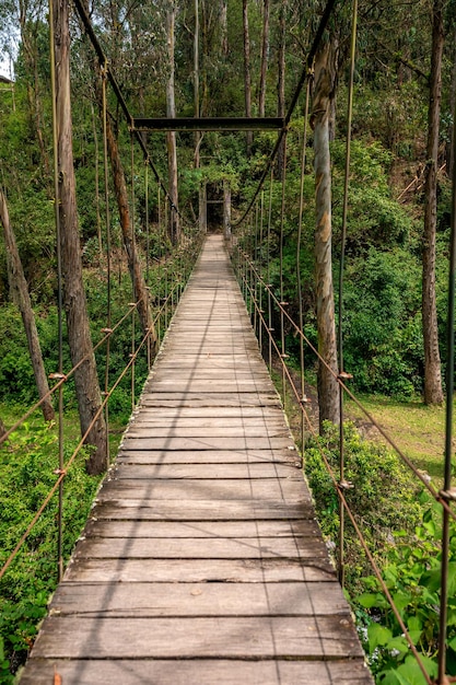 Hängende Holzbrücke im Wald