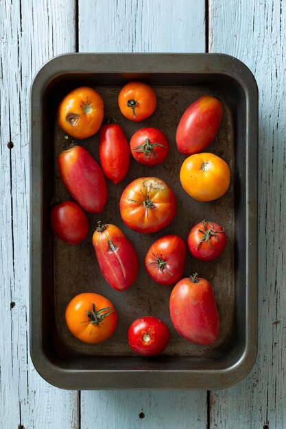 Hässliche Tomaten in einem Eisenbehälter