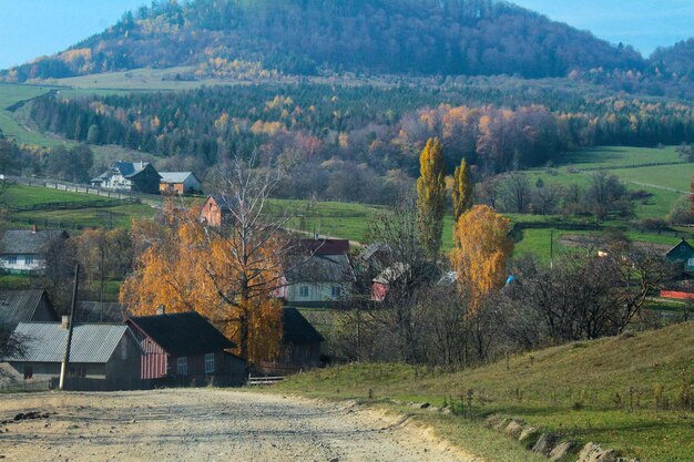 Foto häuser an bäumen auf dem feld