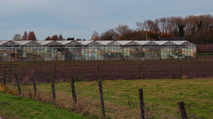Foto häuser auf dem feld gegen den himmel