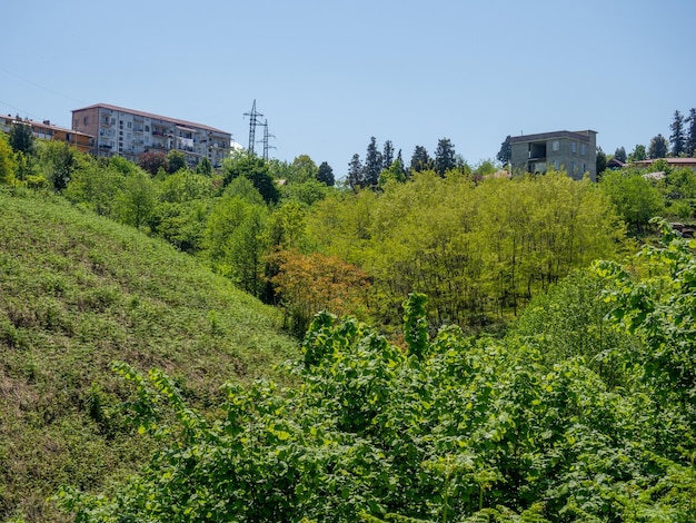 Häuser auf einem grünen Hügel Stadt in der Natur Schöne Landschaft Stadtrand der südlichen Stadt Georgia Häuser im dichten Wald auf dem Berg