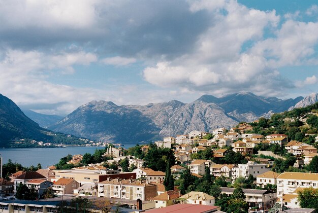 Häuser des Hafens von Kotor unter grünen Bäumen am Fuße der Berge Montenegro