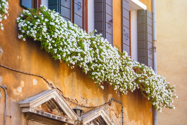 Häuser mit Blumen an den Fenstern in Venedig.