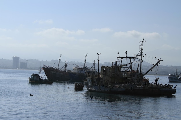 Hafen von Coquimbo Chile