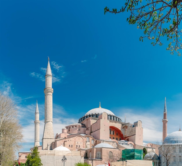 Hagia Sophia contra un fondo de cielo azul entre árboles verdes Parque Sultán Ahmet