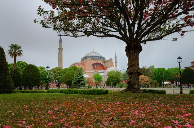 Hagia Sophia en día lluvioso en Estambul