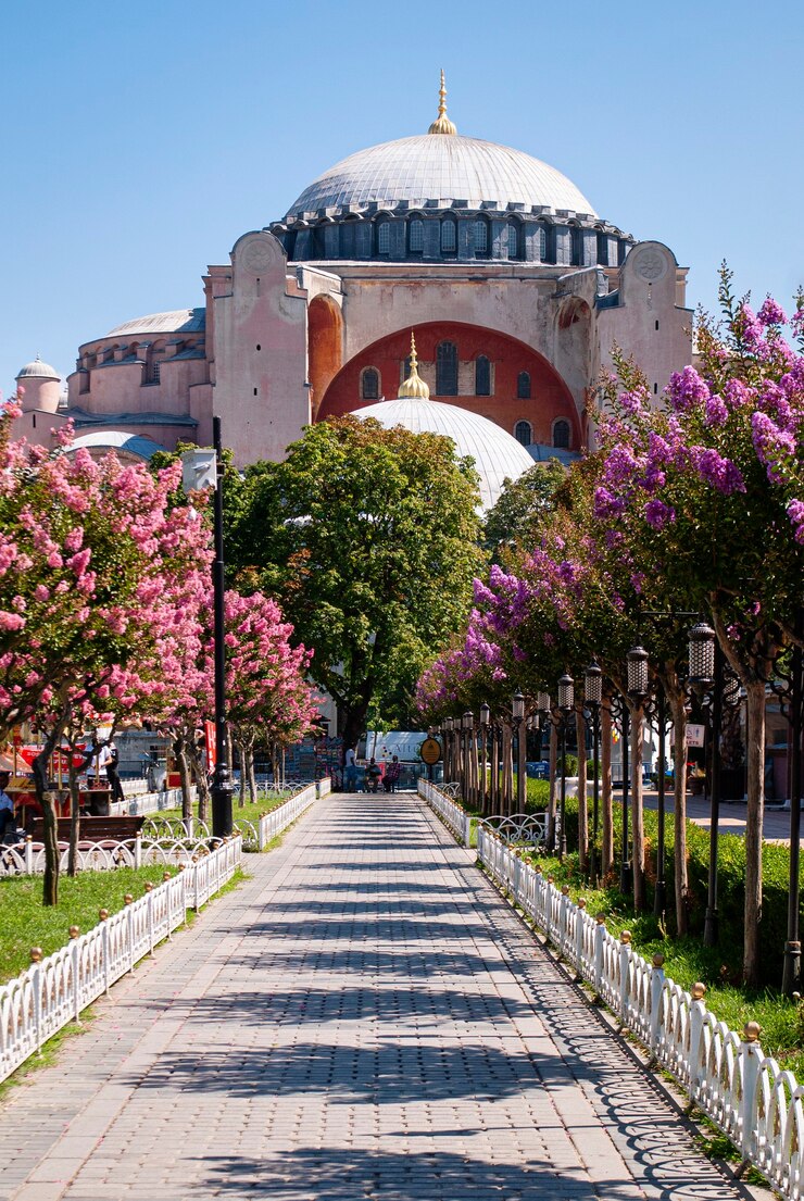 Hagia Sophia Moschee gegen den blauen Himmel. Ein Weg mit blühenden und farbenfrohen Bäumen, der zur Hagia Sophia Moschee führt.