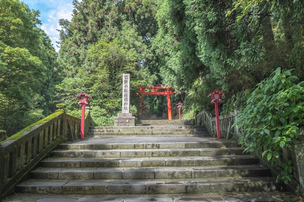 Hakone Prefectura de Kanagawa Japón 2 de julio de 2023 Puerta torii en la puerta del templo japonés en el Santuario de Hakone cerca del lago Ashi en la ciudad de Hakone Prefectura de Kanagawa Japón