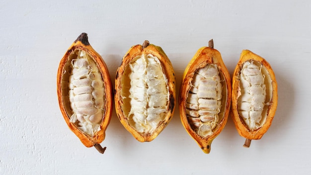 Halbe Kakaoschoten mit Kakaofrucht auf weißem Holztisch