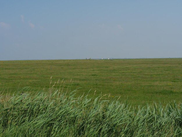 Foto hallig hooge en alemania