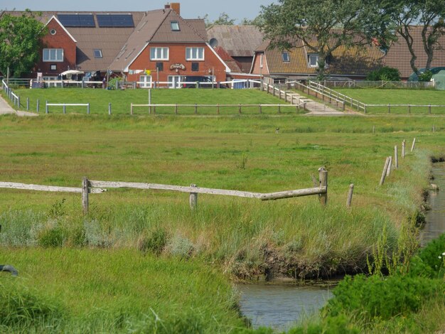 Foto hallig hooge en el mar del norte