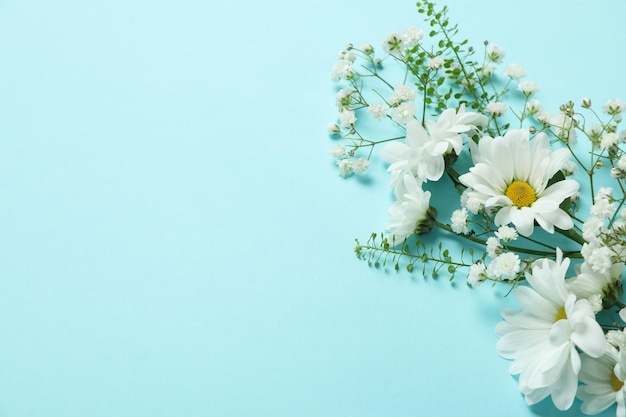 Hallo Frühlingskonzept mit Blumen auf blauem Hintergrund