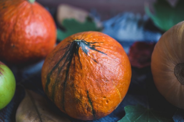Hallo Herbst. Orange Kürbise Apfel-Herbstlaub kariert auf einem hölzernen Hintergrund