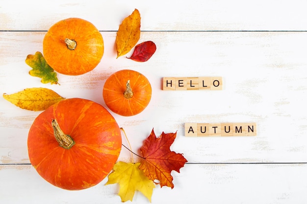 Hallo Herbst Reife Kürbisse und gefallene gelbe Blätter auf weißem Hintergrund Halloween- und Thanksgiving-Symbol