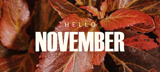 Foto hallo november-banner-design