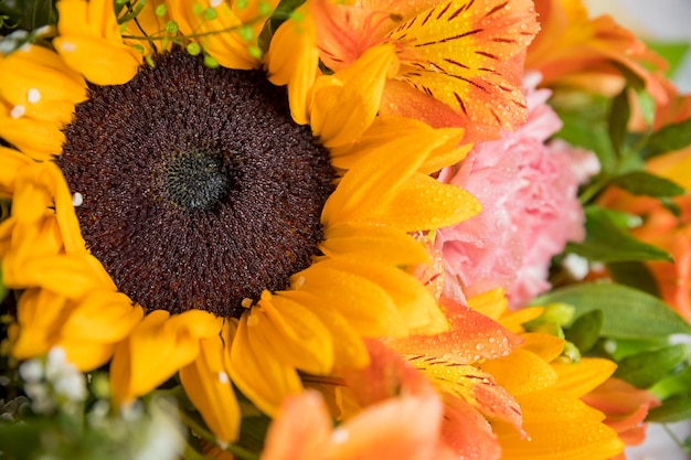 Hallo Schöner Herbststrauß mit Sonnenblumen und Nelken hautnah auf hellem Hintergrund saisonale floristische Kompositionsgrußkarte