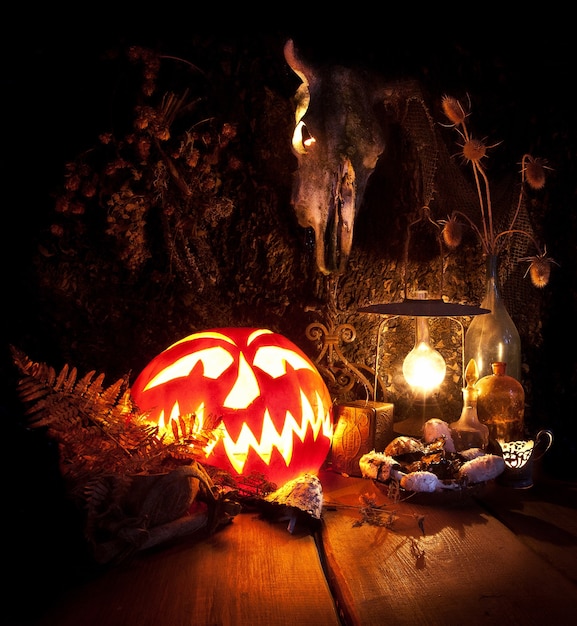 Halloween ainda vida assustador Halloween abóbora velas cogumelos ervas secas samambaias e o crânio de um d ...