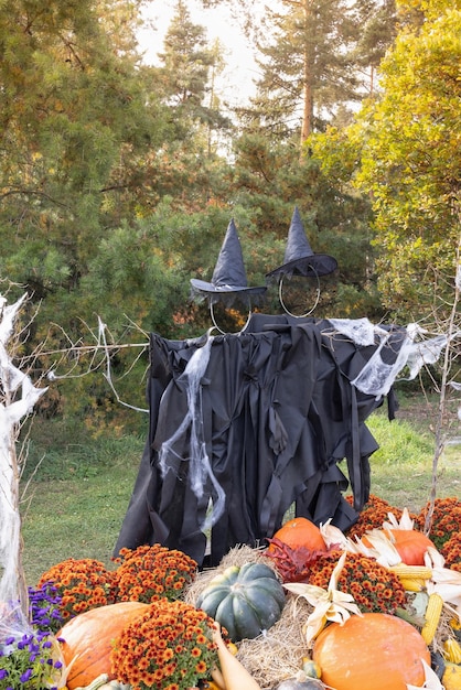 Halloween bruja espantapájaros y decoración de calabaza Ideas de zona de fotos de patio