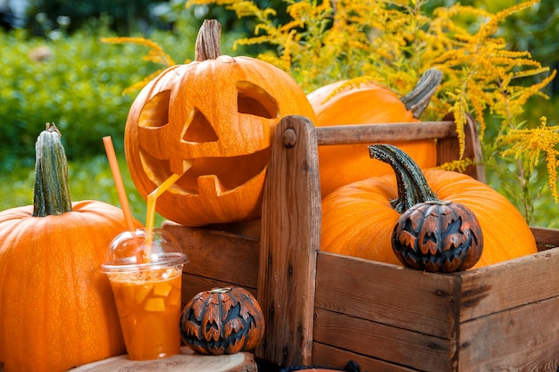 Halloween-Cocktail nahe Kürbisdekoration. Schlag für eine Party.