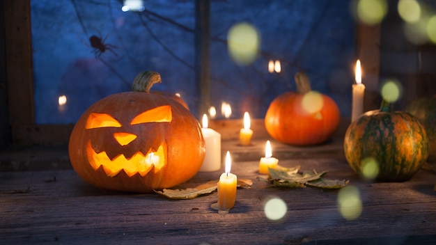 Halloween-Dekoration, Kürbisse mit Kürbislaterne und Unschärfe im Vordergrund