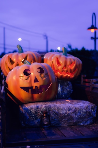 Halloween-Dekoration mit Kürbis und Totenkopf