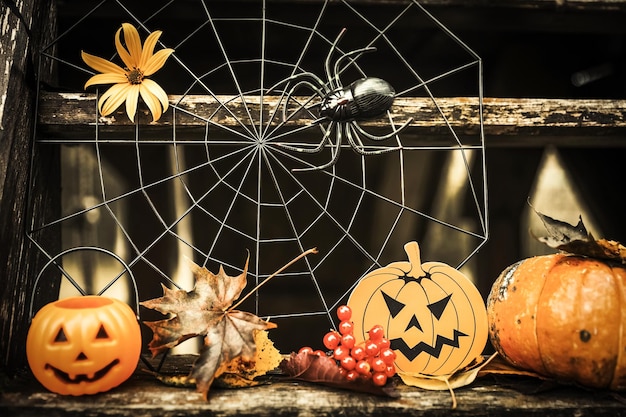 Halloween Design Innenhof mit trockenen Herbstblättern Schöne gemütliche Holzveranda des Hauses mit Kürbissen im Herbst