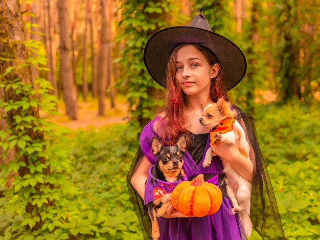 Halloween e celebração. Garota com fantasia de bruxa com abóbora de Halloween ao ar livre detém um cachorro.