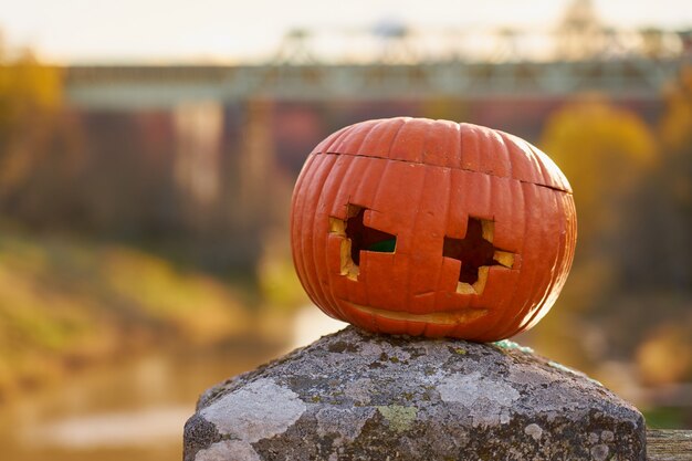 Foto halloween esculpido abóbora com paisagem borrada no fundo.