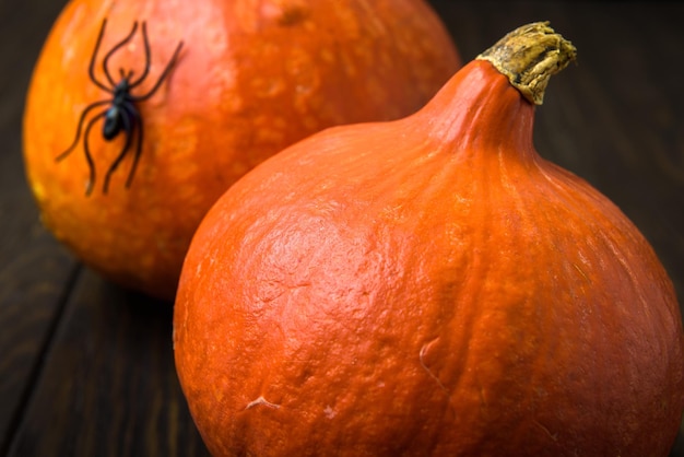 Halloween-Feiertagshintergrund mit Kürbissen und Spinne auf einem dunklen Holztisch