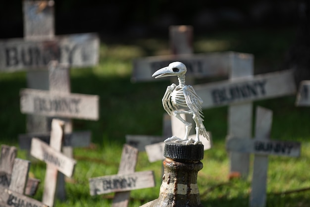 Halloween-Friedhof, nebliger Hintergrund. Halloween-Feiertagskonzept.