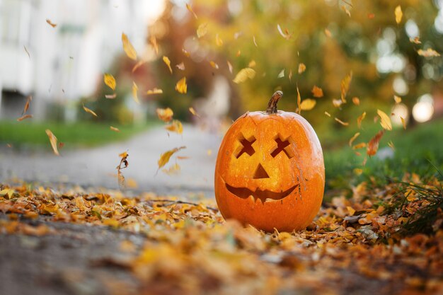 Halloween geschnitzter Kürbis im Herbstlaub